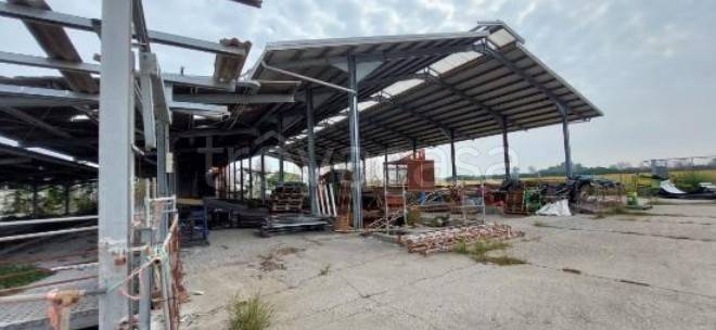 immagine annuncio 2 di 9