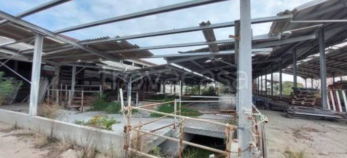 immagine annuncio 3 di 9