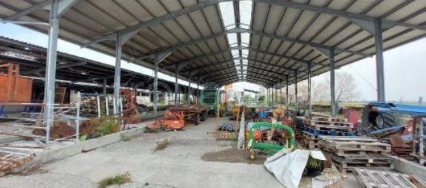 immagine annuncio 4 di 9