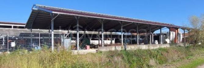 immagine annuncio 5 di 9