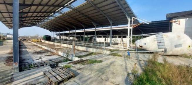 immagine annuncio 6 di 9