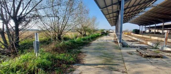 immagine annuncio 7 di 9