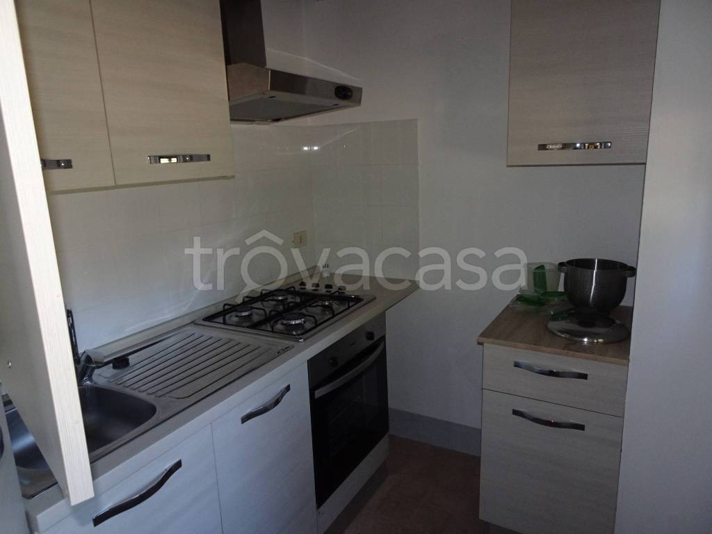 immagine annuncio 7 di 14