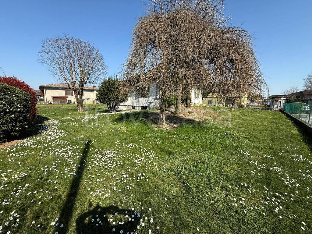 immagine annuncio 11 di 13