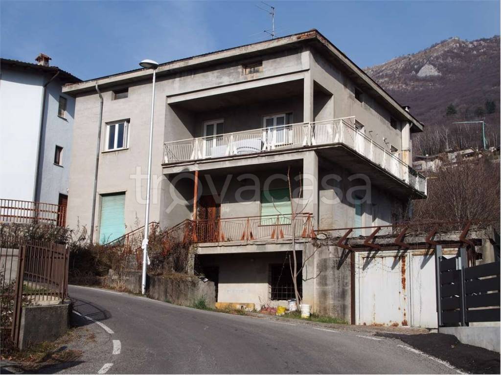 immagine annuncio 1 di 14