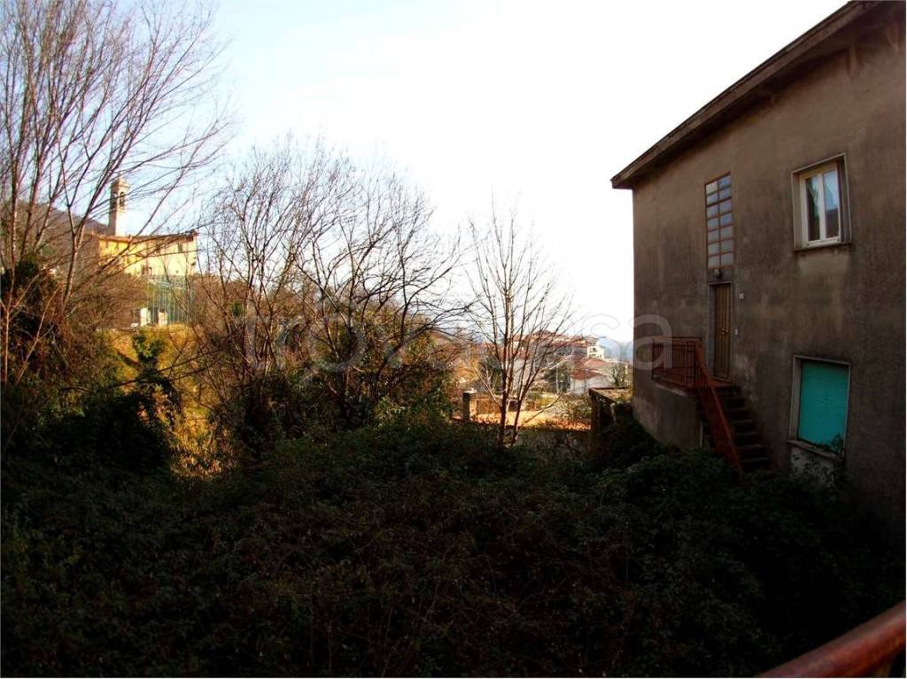 immagine annuncio 10 di 14