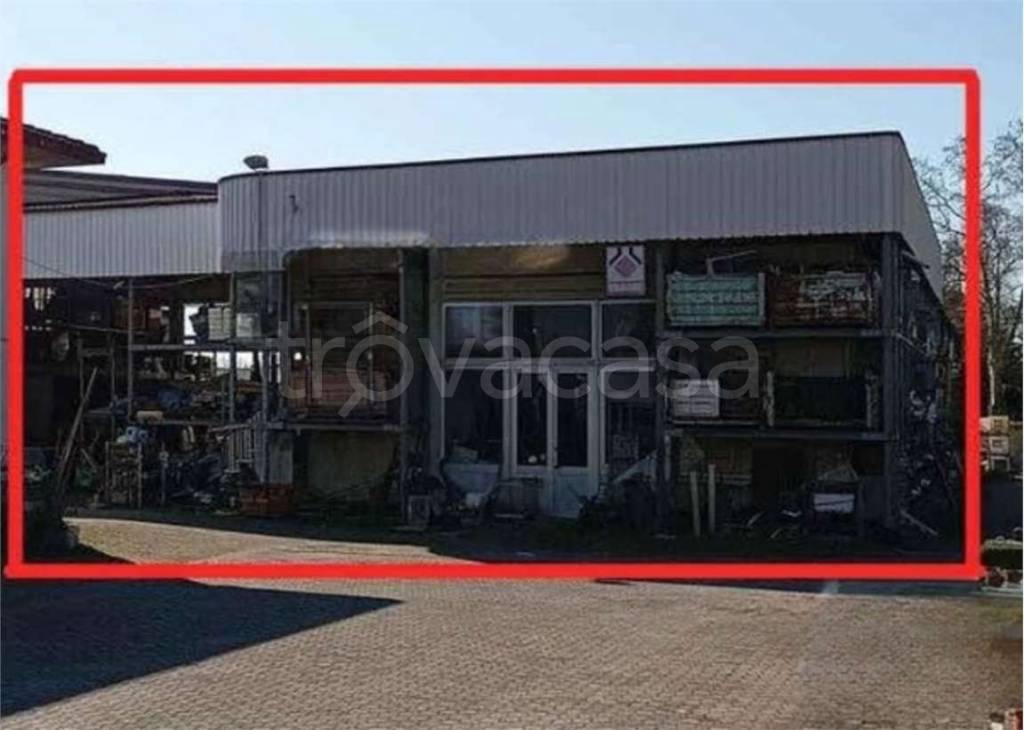 immagine annuncio 4 di 14