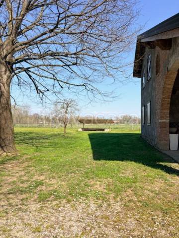 immagine annuncio 4 di 14