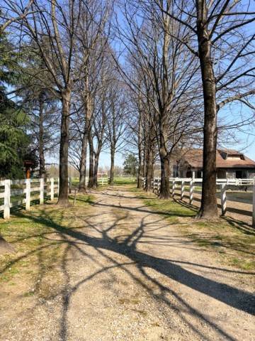 immagine annuncio 13 di 14