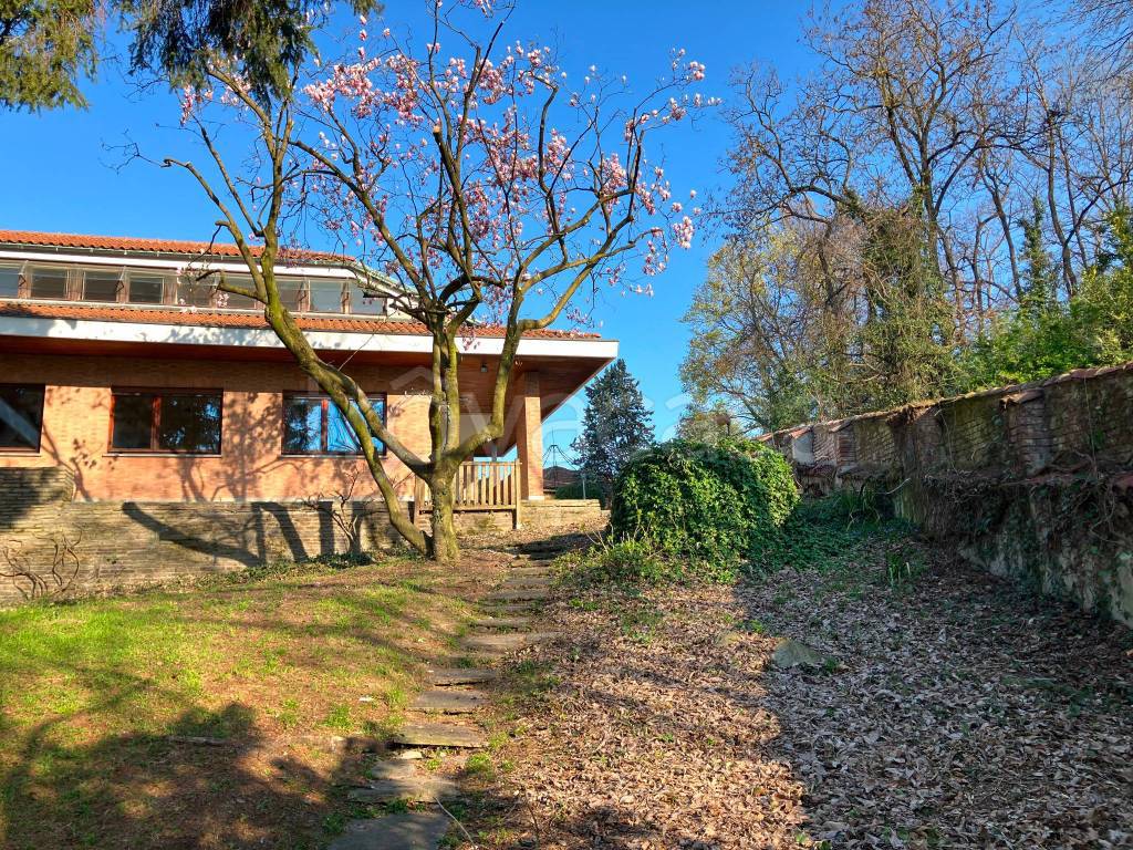 immagine annuncio 11 di 15