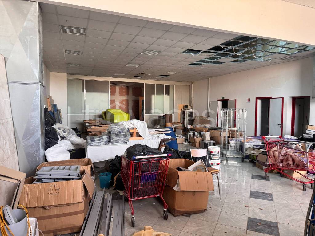 immagine annuncio 3 di 7