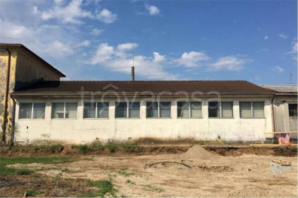 immagine annuncio 3 di 12