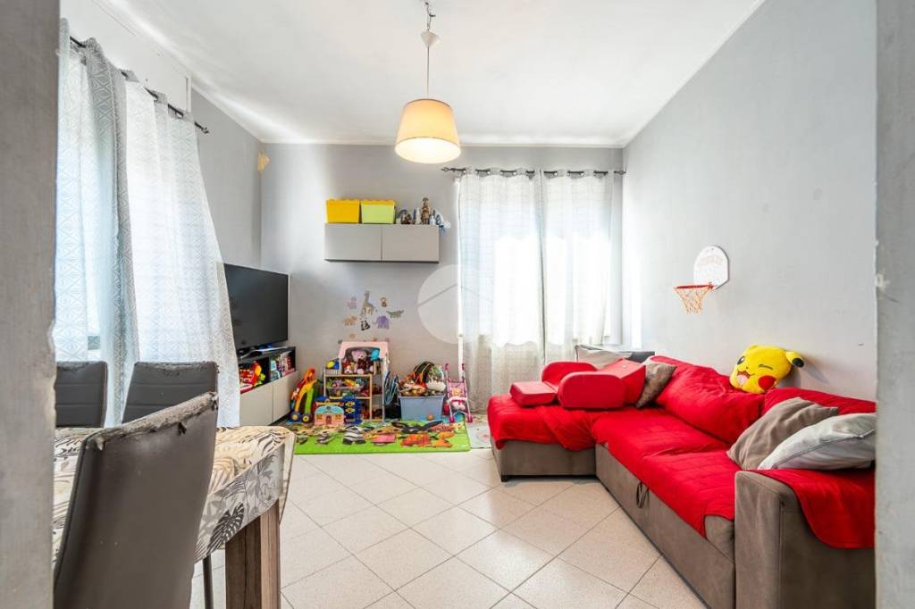 immagine annuncio 9 di 15