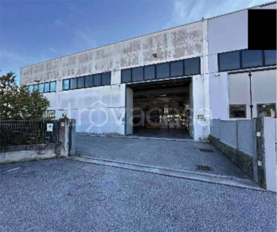 immagine annuncio 2 di 14