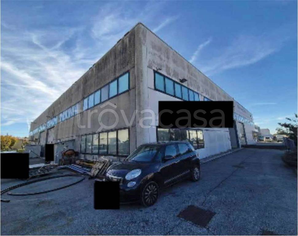 immagine annuncio 4 di 14