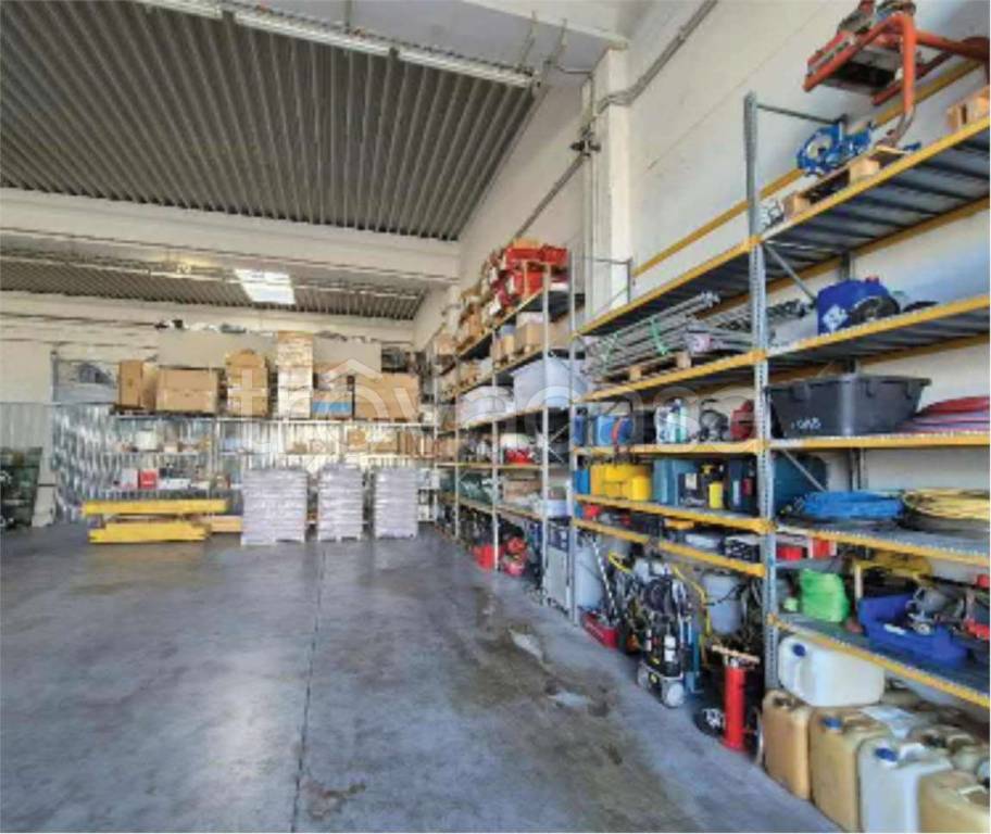 immagine annuncio 6 di 14