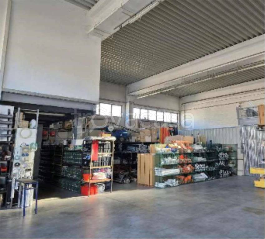 immagine annuncio 7 di 14