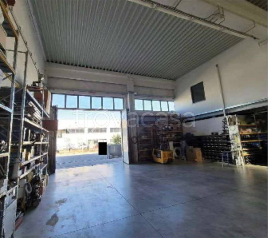 immagine annuncio 8 di 14