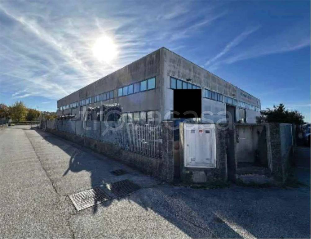 immagine annuncio 12 di 14