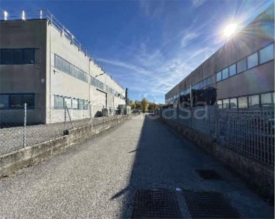 immagine annuncio 13 di 14