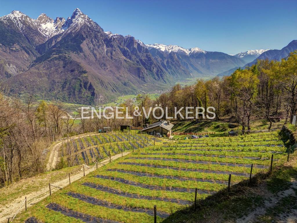 immagine annuncio 8 di 15