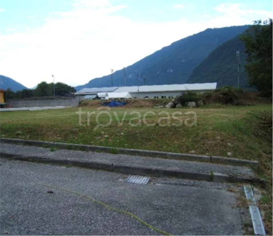 immagine annuncio 3 di 13