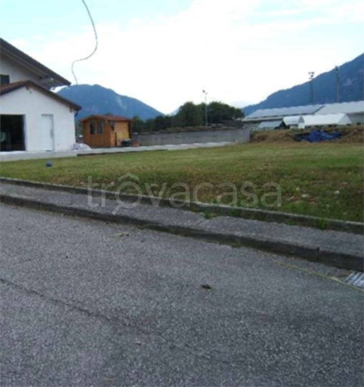 immagine annuncio 4 di 13