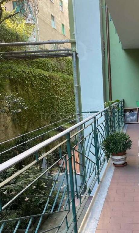 immagine annuncio 3 di 7