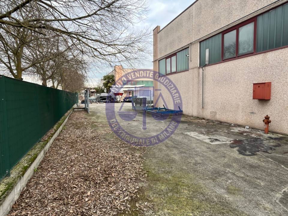 immagine annuncio 6 di 9