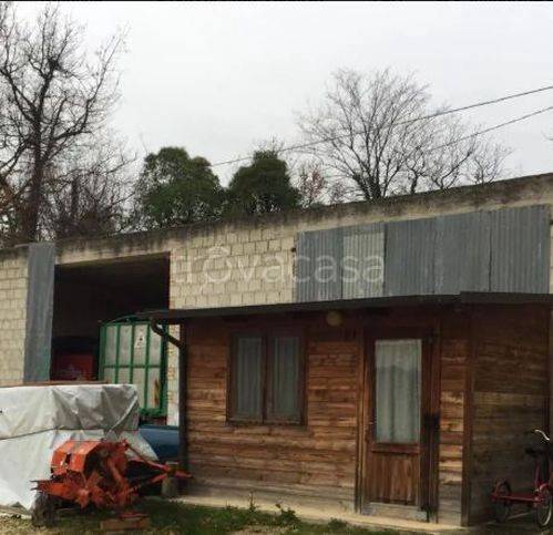 immagine annuncio 2 di 13