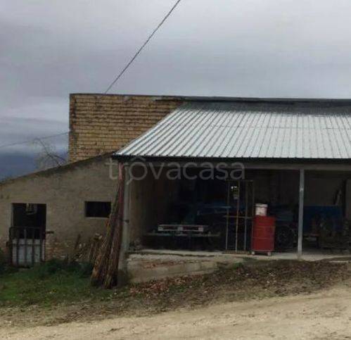 immagine annuncio 4 di 13