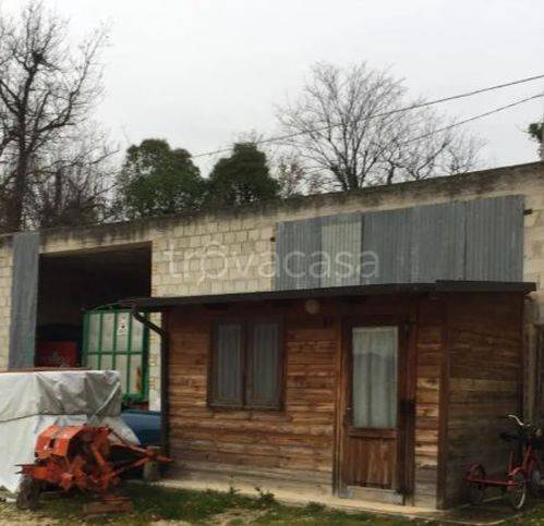 immagine annuncio 6 di 13