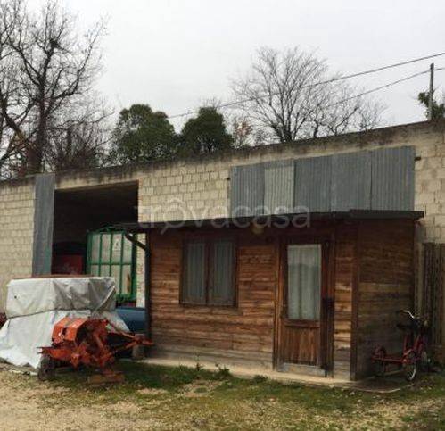 immagine annuncio 9 di 13