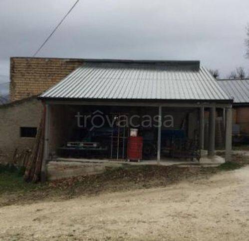 immagine annuncio 11 di 13