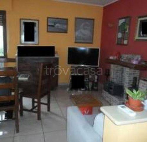 immagine annuncio 4 di 8