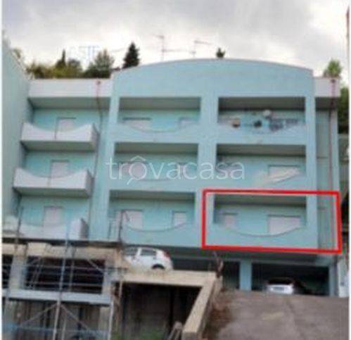 immagine annuncio 5 di 14