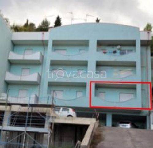 immagine annuncio 6 di 14