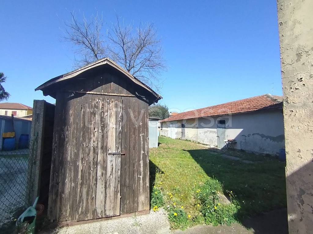 immagine annuncio 9 di 15