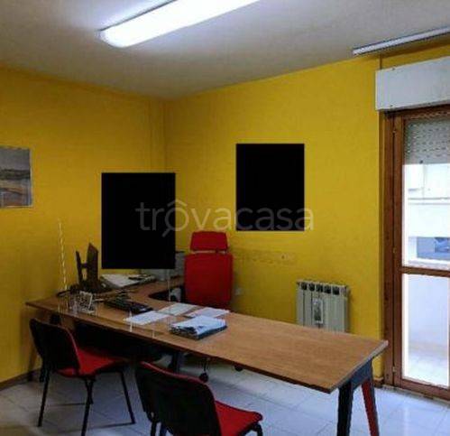 immagine annuncio 3 di 12