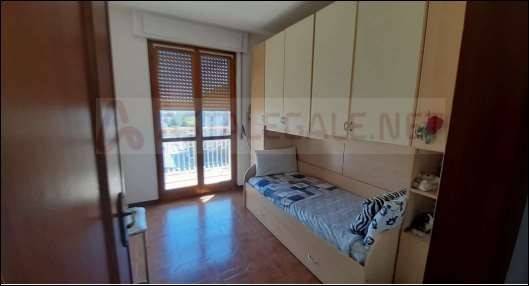 immagine annuncio 7 di 11