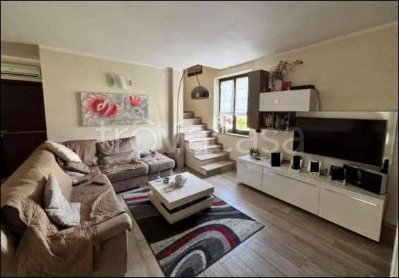 immagine annuncio 5 di 14