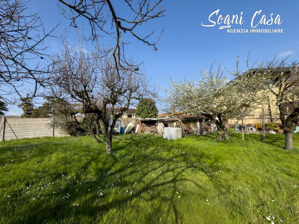 immagine annuncio 7 di 15