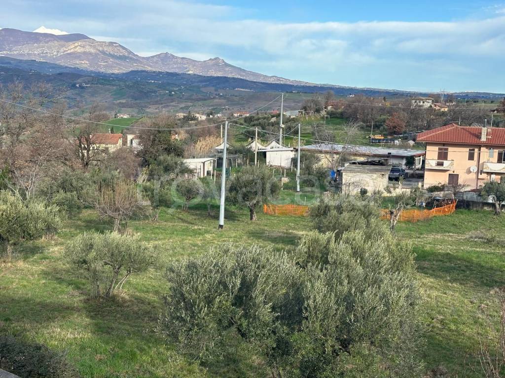 immagine annuncio 1 di 3