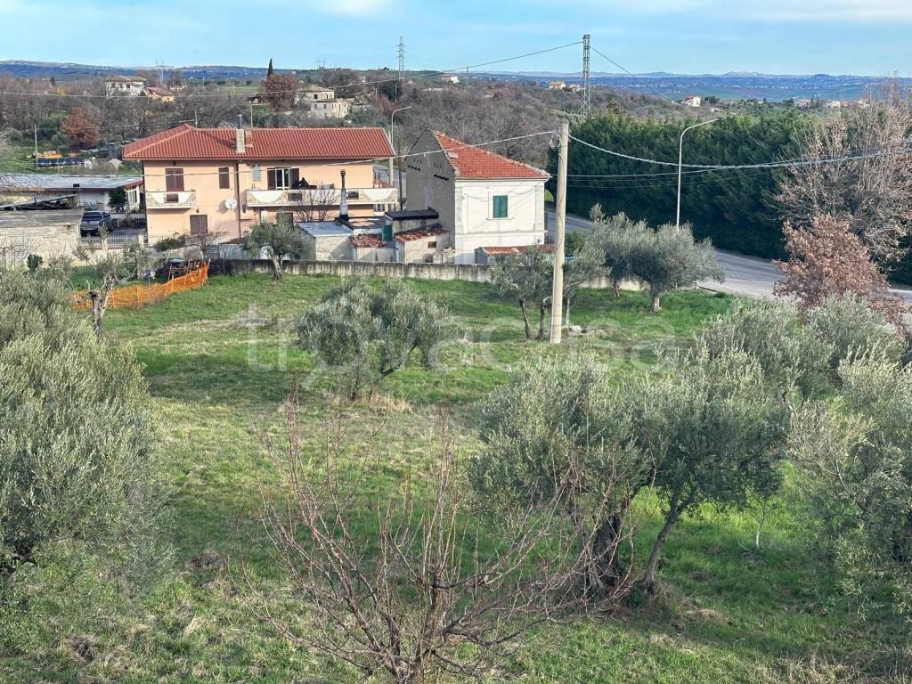 immagine annuncio 2 di 3