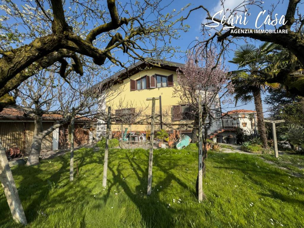 immagine annuncio 9 di 15