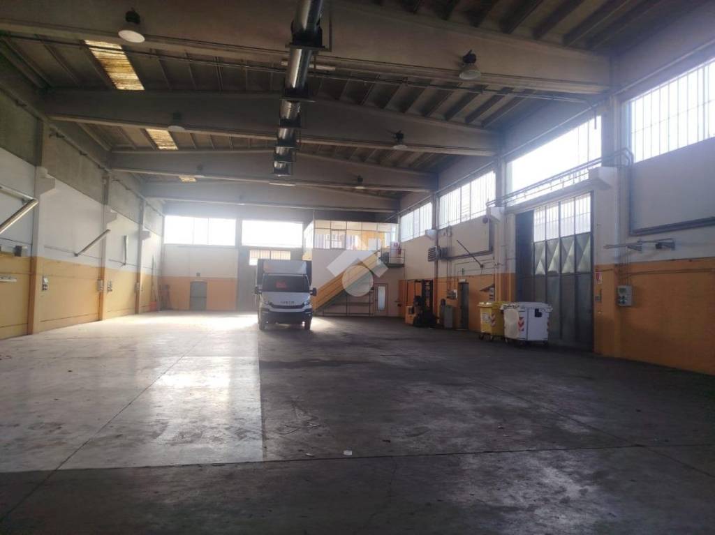 immagine annuncio 5 di 15