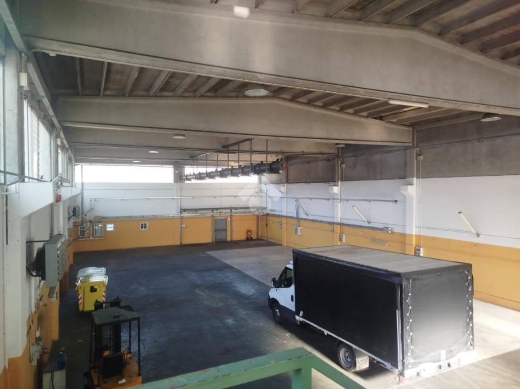 immagine annuncio 12 di 15