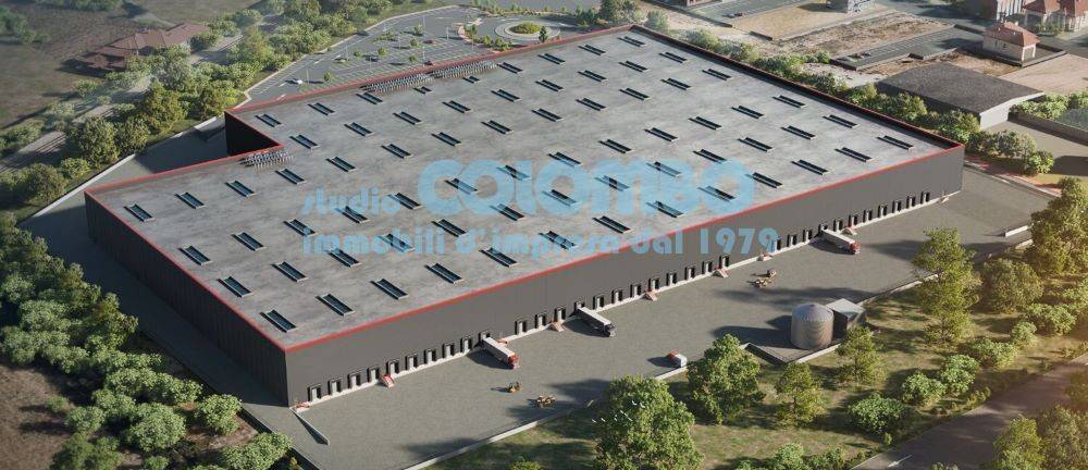 immagine annuncio 5 di 11