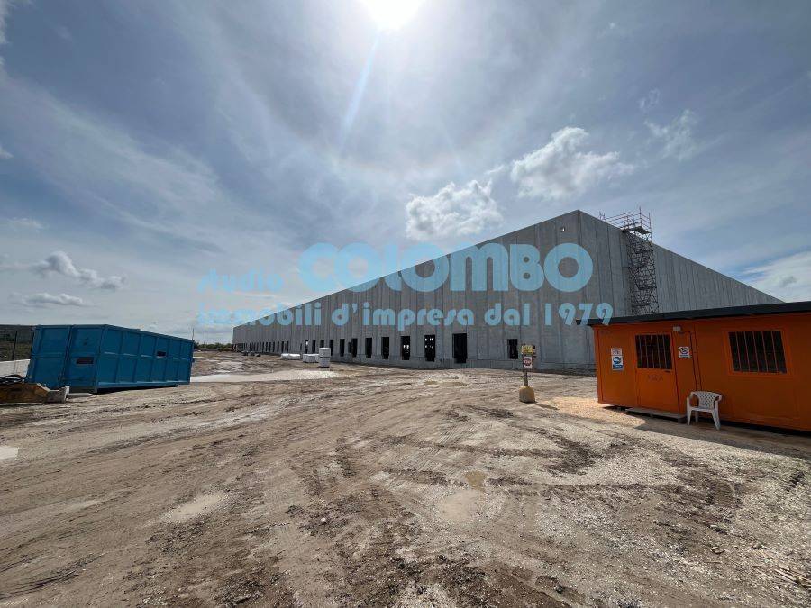 immagine annuncio 8 di 11