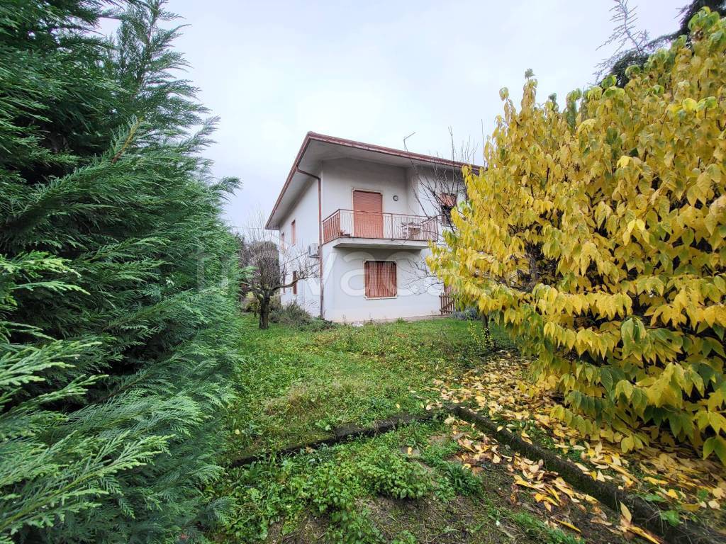 immagine annuncio 2 di 9